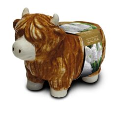 5015882044658 1 Taylors Ceramic Highland Cow Planter with Muscari Bulbs Grow Kit.jpg